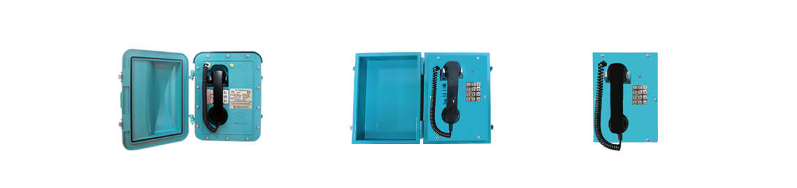 Explosion-proof Type